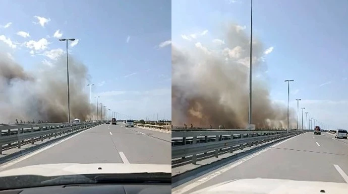 В Баку садовник поджёг сухую траву и уничтожил 863 дерева