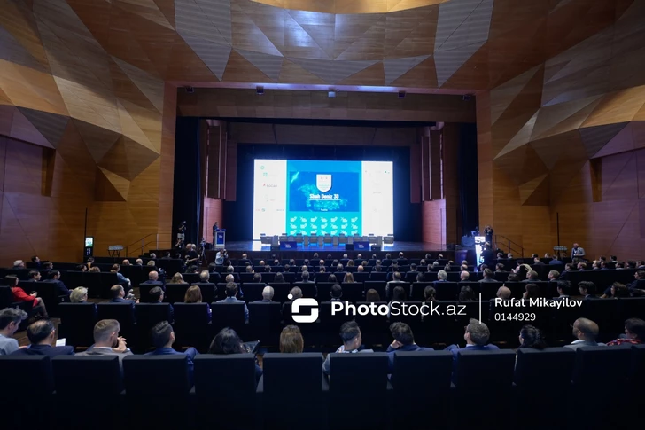 На форуме в Баку обсуждены стратегии международного партнерства в энергетическом секторе