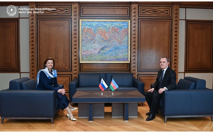 Media.az - Новости Азербайджана - Состоялась встреча глав МИД Азербайджана и Словении