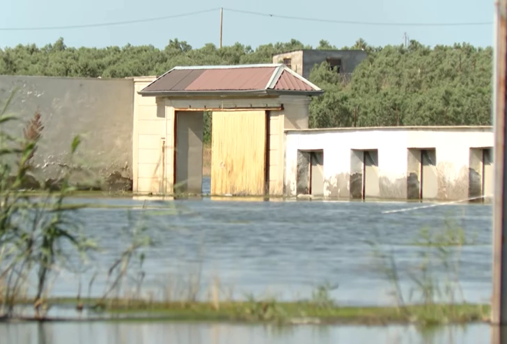 Жители Мамедли бросают дома из-за воды, подошедшей к порогу