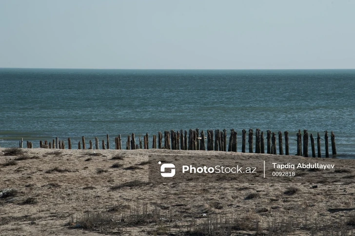 Каспийское море мелеет: каковы экологические и экономические последствия?