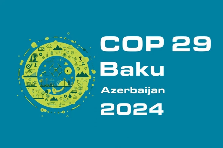 В Исламабаде состоится панельная дискуссия по Pre-COP29