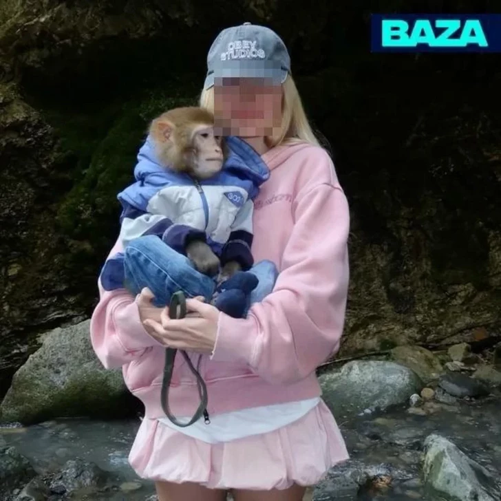 Media.az - Новости Азербайджана - В Габале туристка получила травму головы, фотографируясь с обезьяной