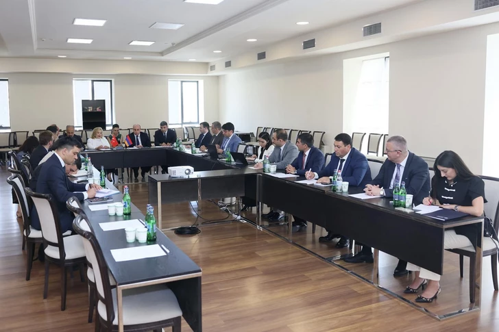 Media.az - Новости Азербайджана - Армения и Турция продолжают работу над восстановлением моста Ани