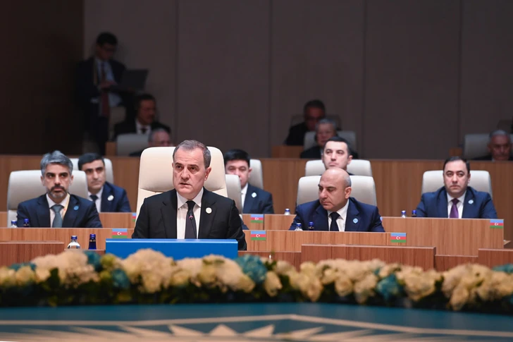 Глава МИД Азербайджана рассказал о приоритетах ОТГ на саммите в Анкаре