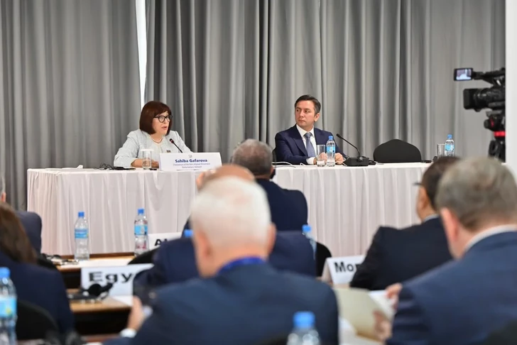 Media.az - Новости Азербайджана - Сахиба Гафарова обсудила межпарламентское сотрудничество на заседании ПСДН