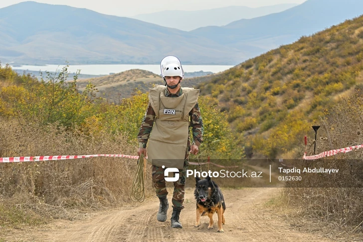 Media.az - Новости Азербайджана - Разминирование в Агдаме: саперам помогают дистанционно управляемые роботы
