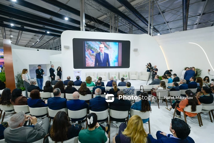 Представитель президента Азербайджана призвал к усилению климатической устойчивости городов на WUF13