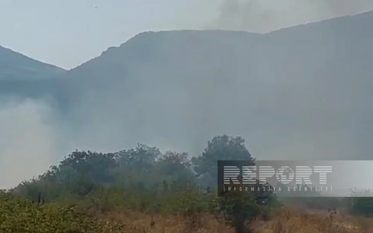 Media.az - Новости Азербайджана - Пожары в Агдеринском районе: МЧС ведет борьбу с огнем