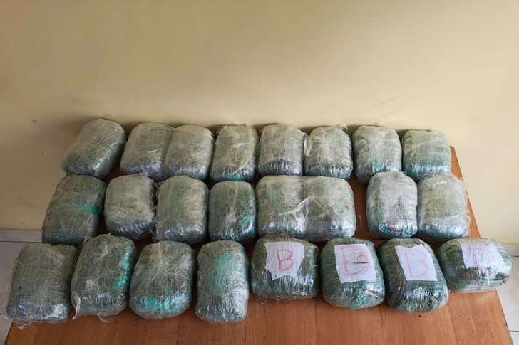 Погранслужба Азербайджана пресекла попытку ввоза в страну крупной партии наркотиков