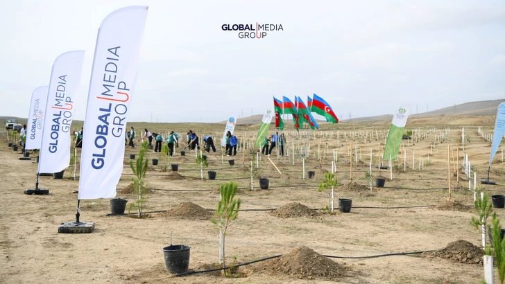 Media.az - Новости Азербайджана - По инициативе Global Media Group проведена очередная акция по посадке деревьев