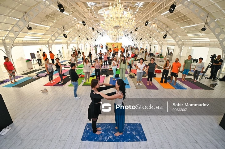 В Баку на Nine Senses Fest 2026  пройдет медицинская панель о профилактике и здоровом образе жизни