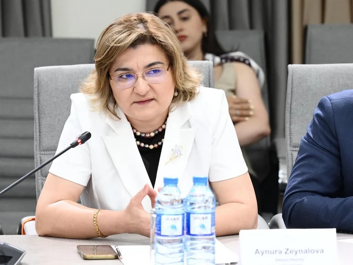 Media.az - Новости Азербайджана - В Азербайджане обсудили законопроект о защите детей в цифровом пространстве