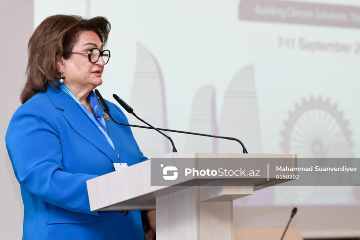 Хиджран Гусейнова призвала объединить научный потенциал тюркских стран для защиты экологии