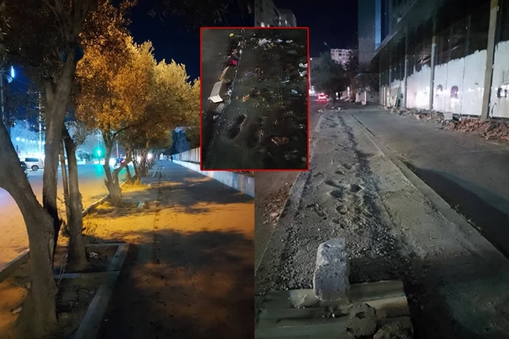 В Хырдалане пресекли незаконную вырубку деревьев