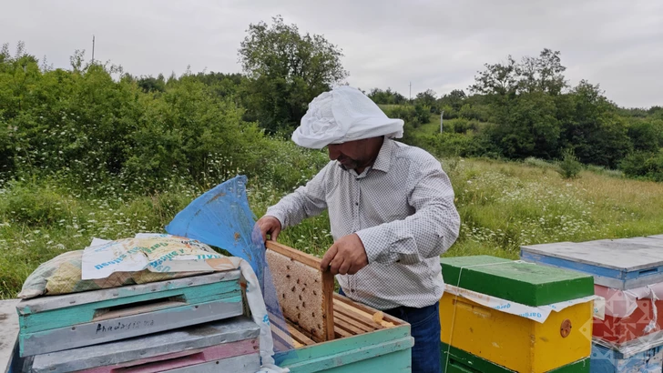 Аромат Карабаха: в Агдере начался сезон сбора меда