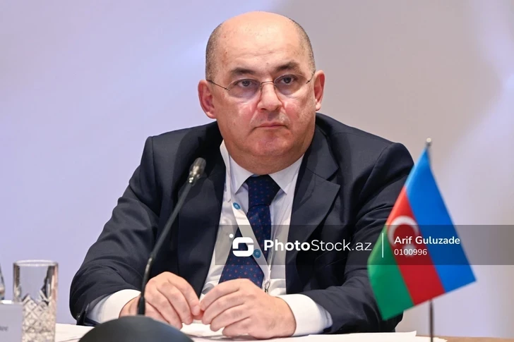 Шахин Багиров: Таможенная система Азербайджана достигла такого уровня, что передает свой опыт другим