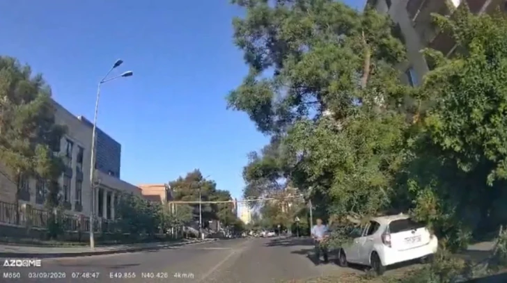 Крупные ветви дерева рухнули на автомобиль в Баку