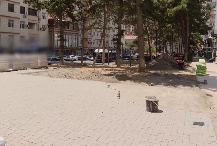 В соцсетях заявили об уничтожении зеленой зоны в Баку — ИВ отрицает вырубку деревьев