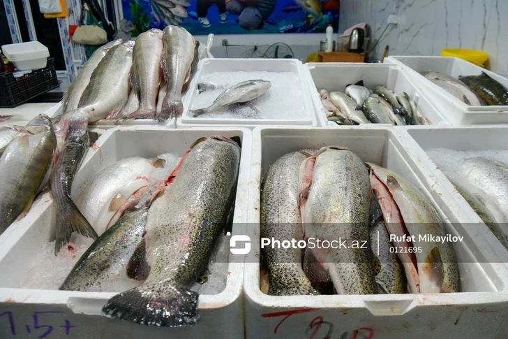 На рыбных рынках Азербайджана выросла доля импортной продукции