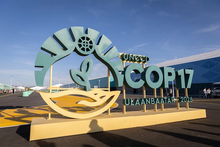 Экокоалиция призвала участников COP17 поднять вопрос загрязнения трансграничных рек Арменией