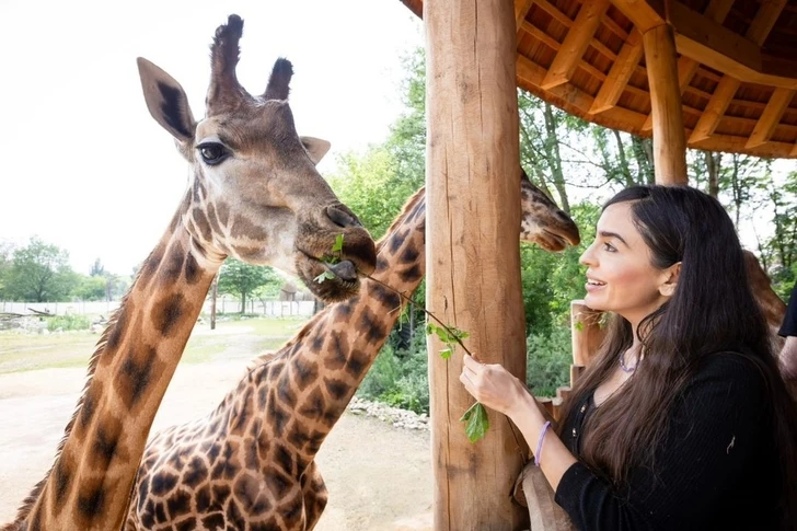 Лейла Алиева поделилась кадрами зоопарка в Берлине