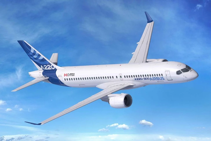 В Канаде еноты остановили работу завода, повредив самолет Airbus