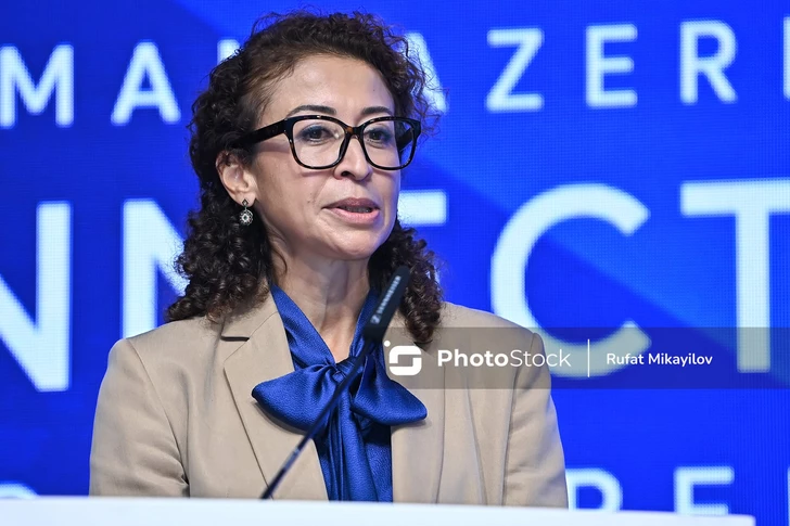 Директор AHK Azerbaijan: Германия заинтересована стать частью Среднего коридора