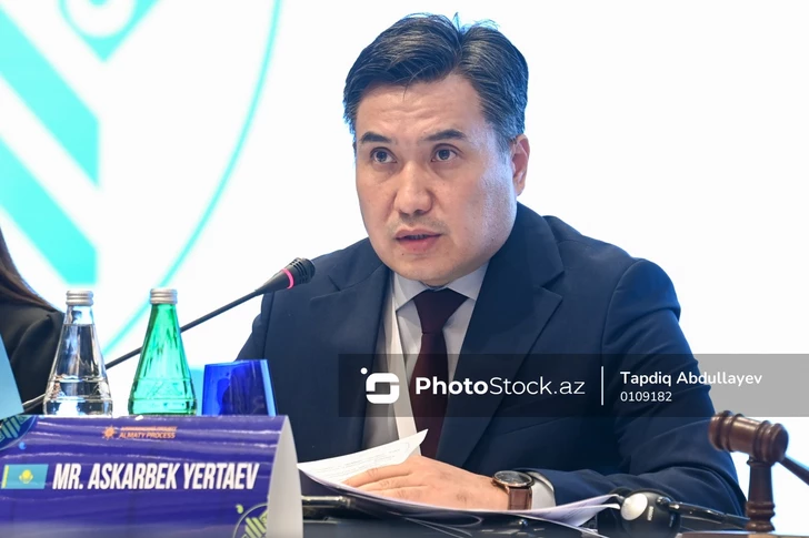 Придать новую динамику: Казахстан обозначил стратегию председательства в миграционной платформе