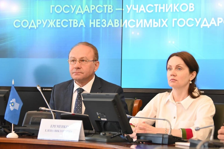 Media.az - Новости Азербайджана - Наблюдатели от МПА СНГ приступили к долгосрочному мониторингу парламентских выборов в Азербайджане