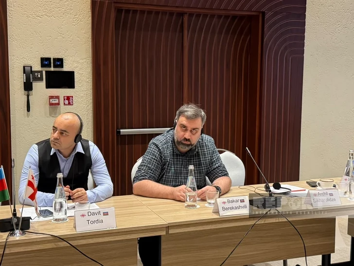 Профессор: Азербайджан и Грузия должны продолжать работу против внешнего влияния