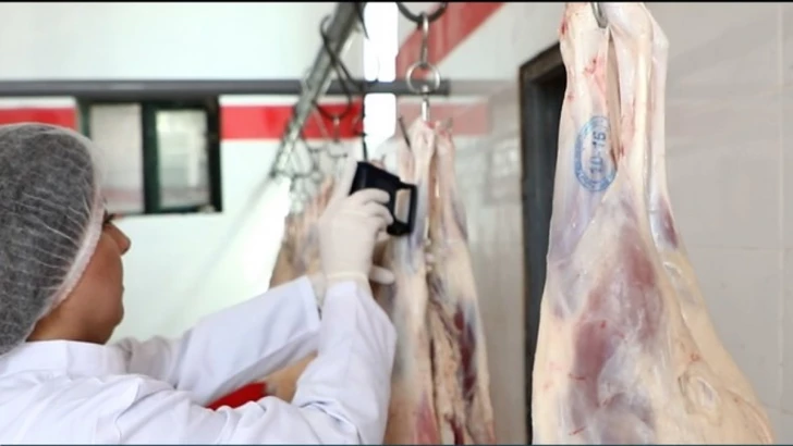 Media.az - Новости Азербайджана - АПБА усиливает контроль за животноводческой продукцией