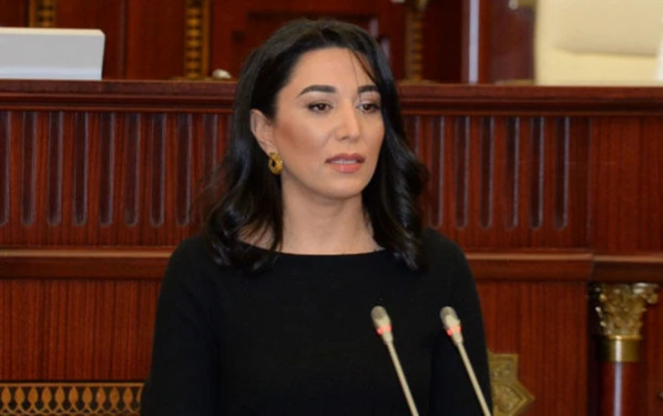 Омбудсмен Азербайджана представила президенту ежегодный доклад о правах человека