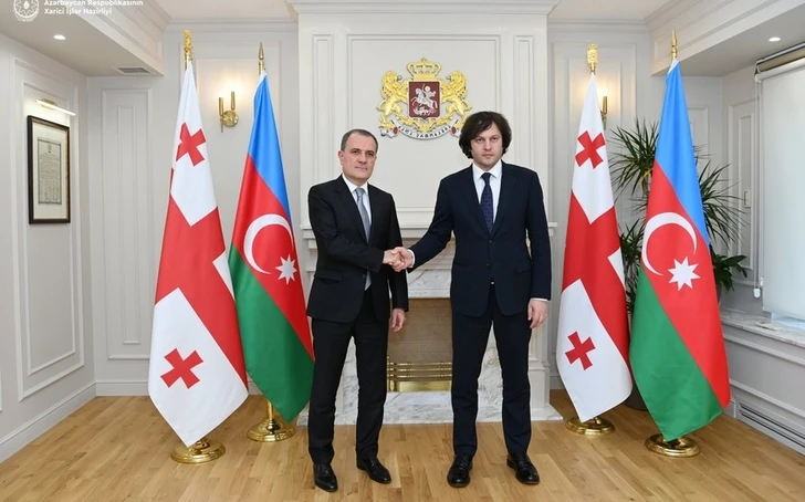 Глава МИД обсудил с премьером Грузии перспективы партнерства в рамках COP29