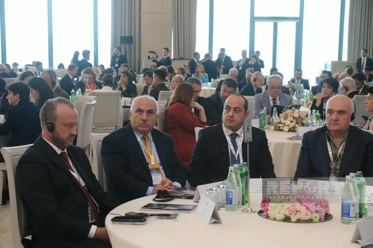 Media.az - Новости Азербайджана - В Баку проходит IV международная конференция по проблеме пропавших без вести