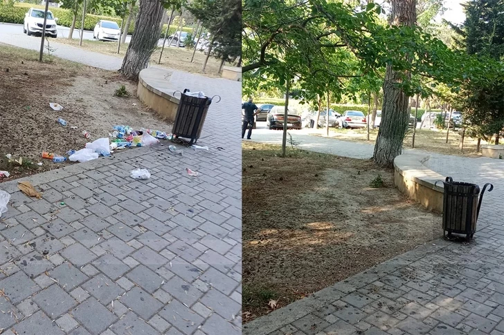 После жалоб жителей парк за Академией наук в Баку очистили от мусора