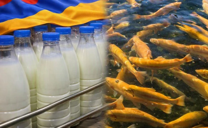 Россия сохраняет запрет на ввоз рыбной и молочной продукции из Армении