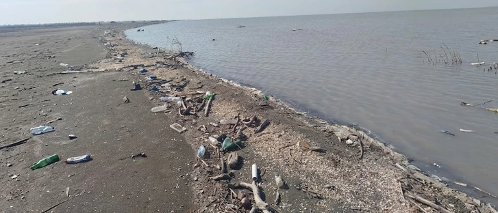 Минздрав Азербайджана ввел запрет на купание на ряде пляжей — названы опасные зоны