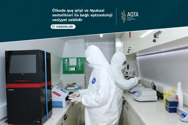 Агентство продбезопасности Азербайджана подвело итоги мониторинга по птичьему гриппу