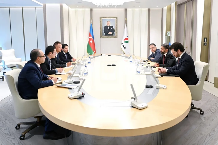 SOCAR и BYD обсудили сотрудничество в сфере зеленой энергетики