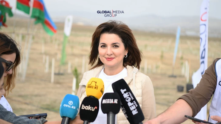 Media.az - Новости Азербайджана - По инициативе Global Media Group проведена очередная акция по посадке деревьев