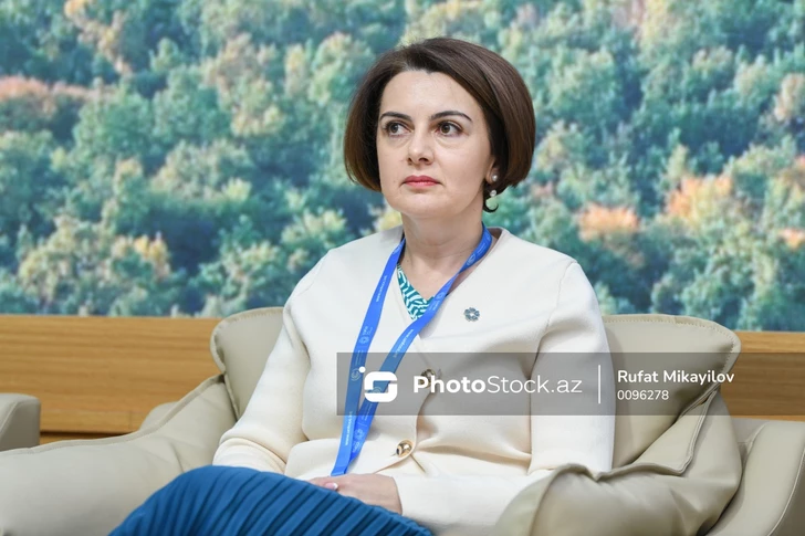 Рена Гумбатова: К концу 2026 года в Азербайджане введут в эксплуатацию 4 новые электростанции