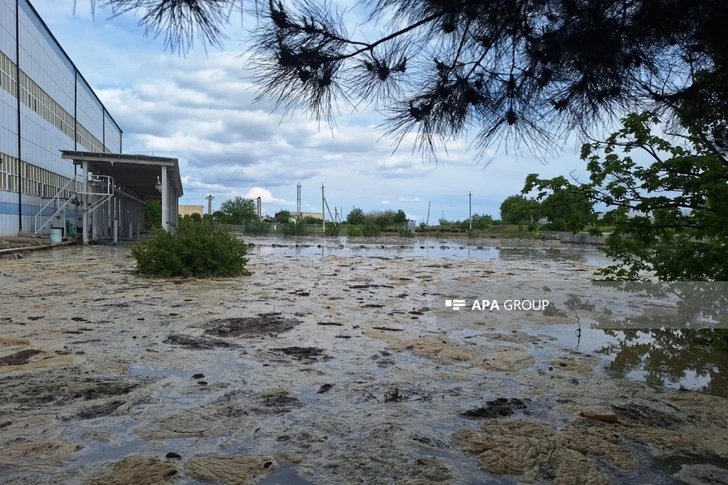 Media.az - Новости Азербайджана - В Шамкире произошел прорыв водопровода: затоплена территория станции
