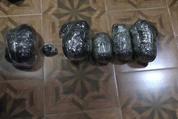 За минувший день правоохранители обнаружили и изъяли более 80 кг наркотиков