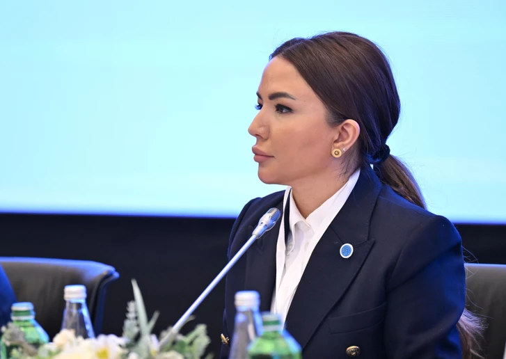 Media.az - Новости Азербайджана - В Баку объявлено об учреждении Платформы НПО Глобального Юга
