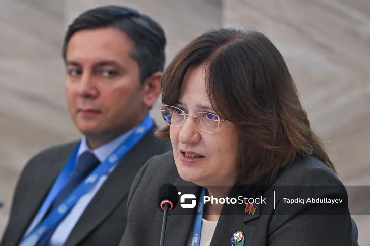 Media.az - Новости Азербайджана - Круглый стол высокого уровня в рамках BCAW2026 посвятили роли молодежи в климатической повестке