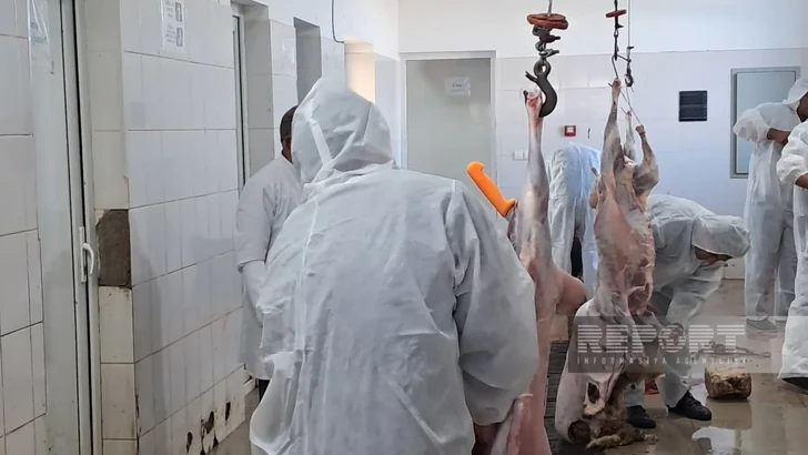 Media.az - Новости Азербайджана - В Агдамском районе около трех тысяч нуждающихся семей получили мясо к празднику Гурбан