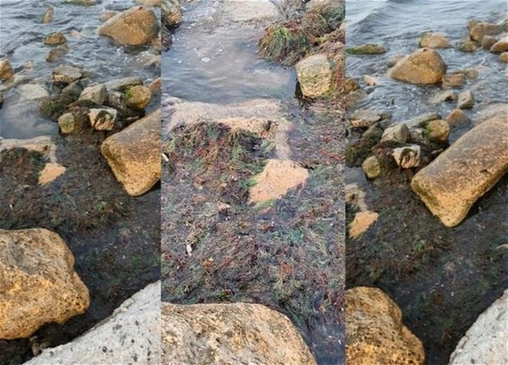 Внесена ясность в связи с распространяемыми в соцсетях кадрами загрязнения пляжа «Дачник»