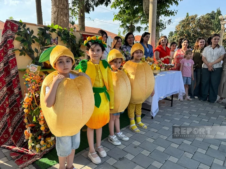 В Самухе стартовали Фестиваль абрикоса и Аграрный бизнес-фестиваль