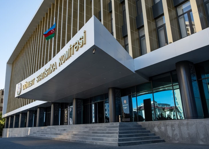 Госкомстат раскрыл число инвалидов войны в Азербайджане